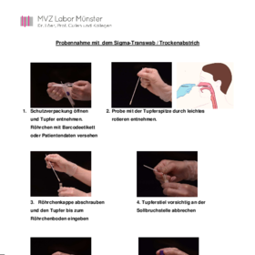 Probenentnahme Nasopharyngealabstrich